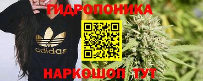 молекула духа Бугуруслан